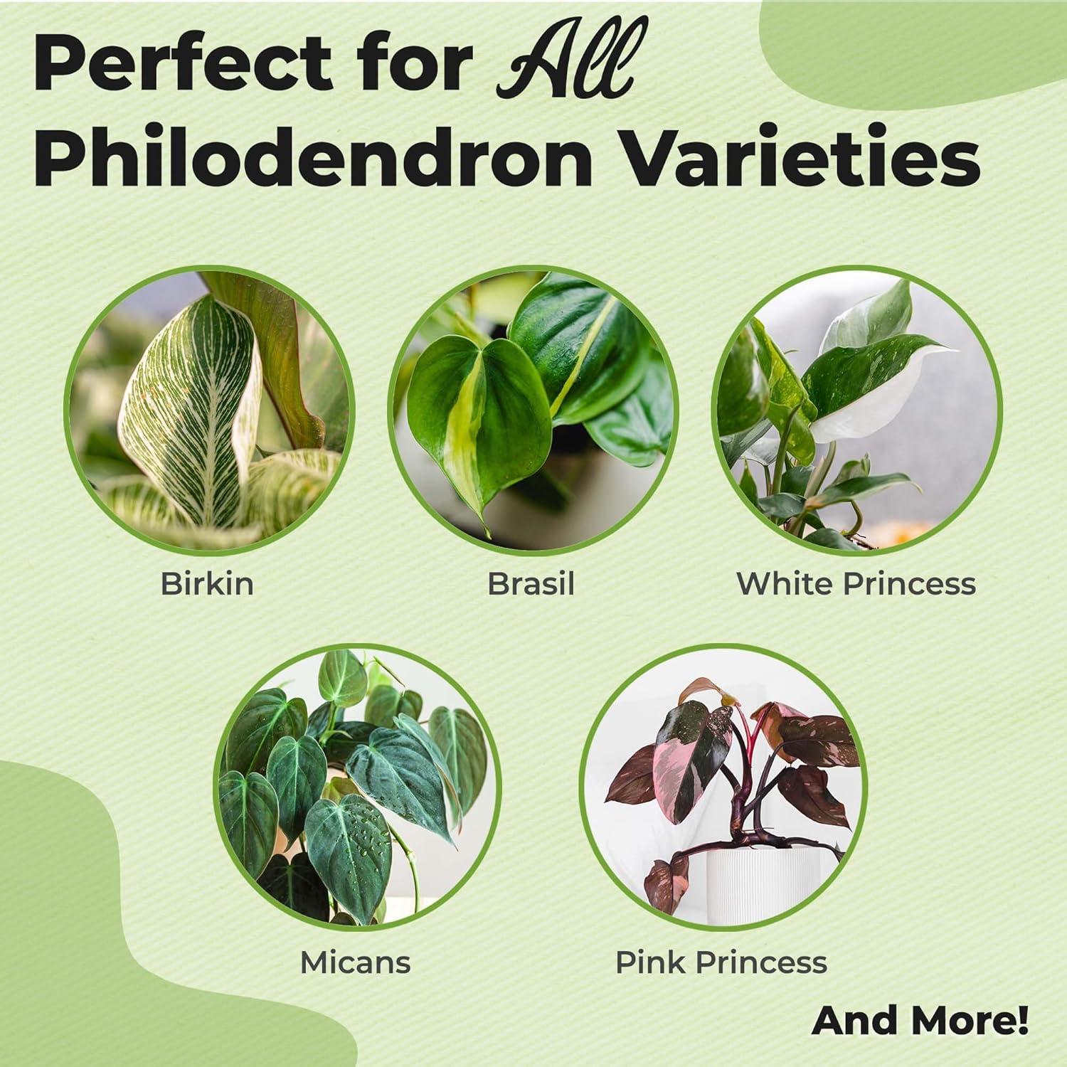 Fertilizante Foliar para Philodendron Perfect Plants 236.6 ml