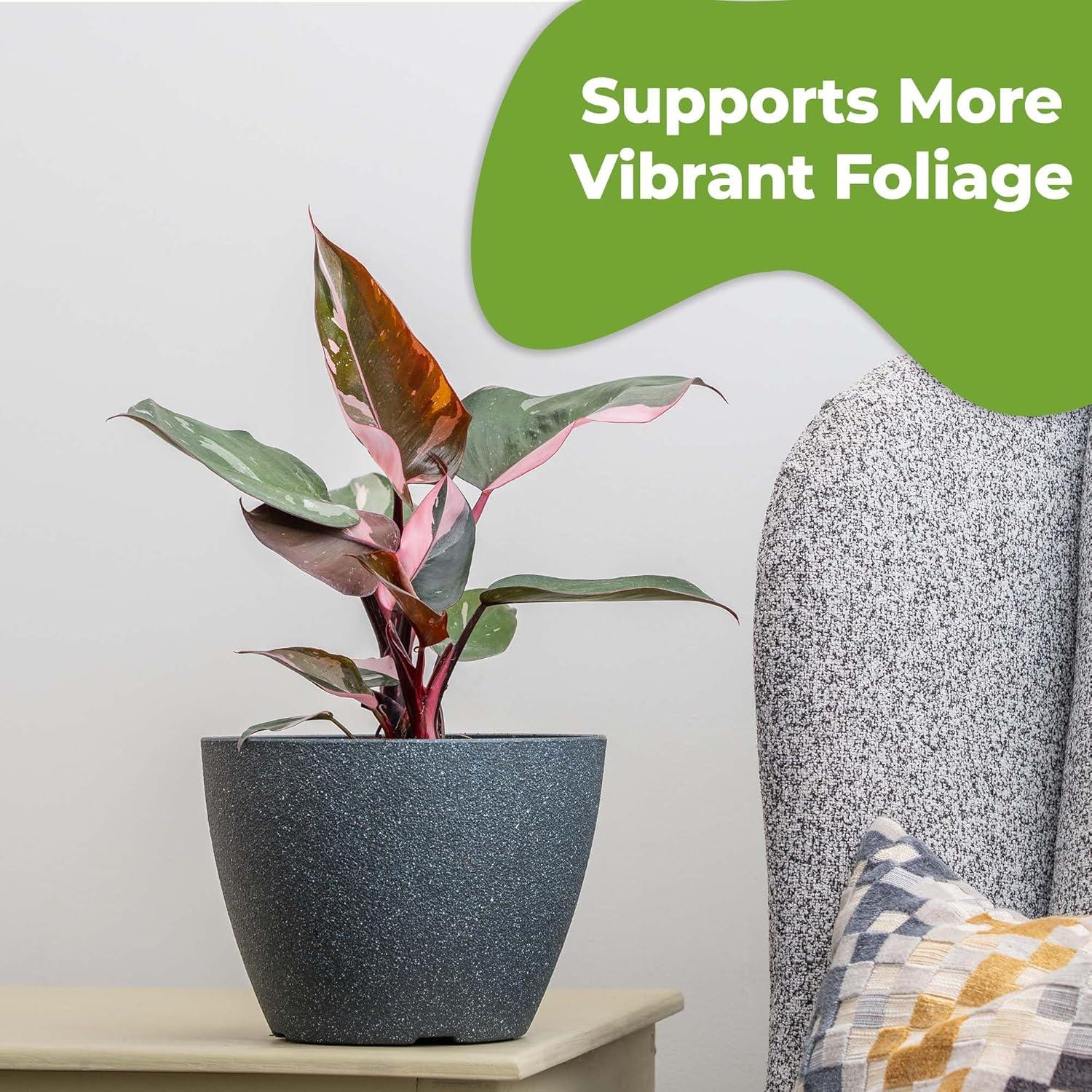 Fertilizante Foliar para Philodendron Perfect Plants 236.6 ml