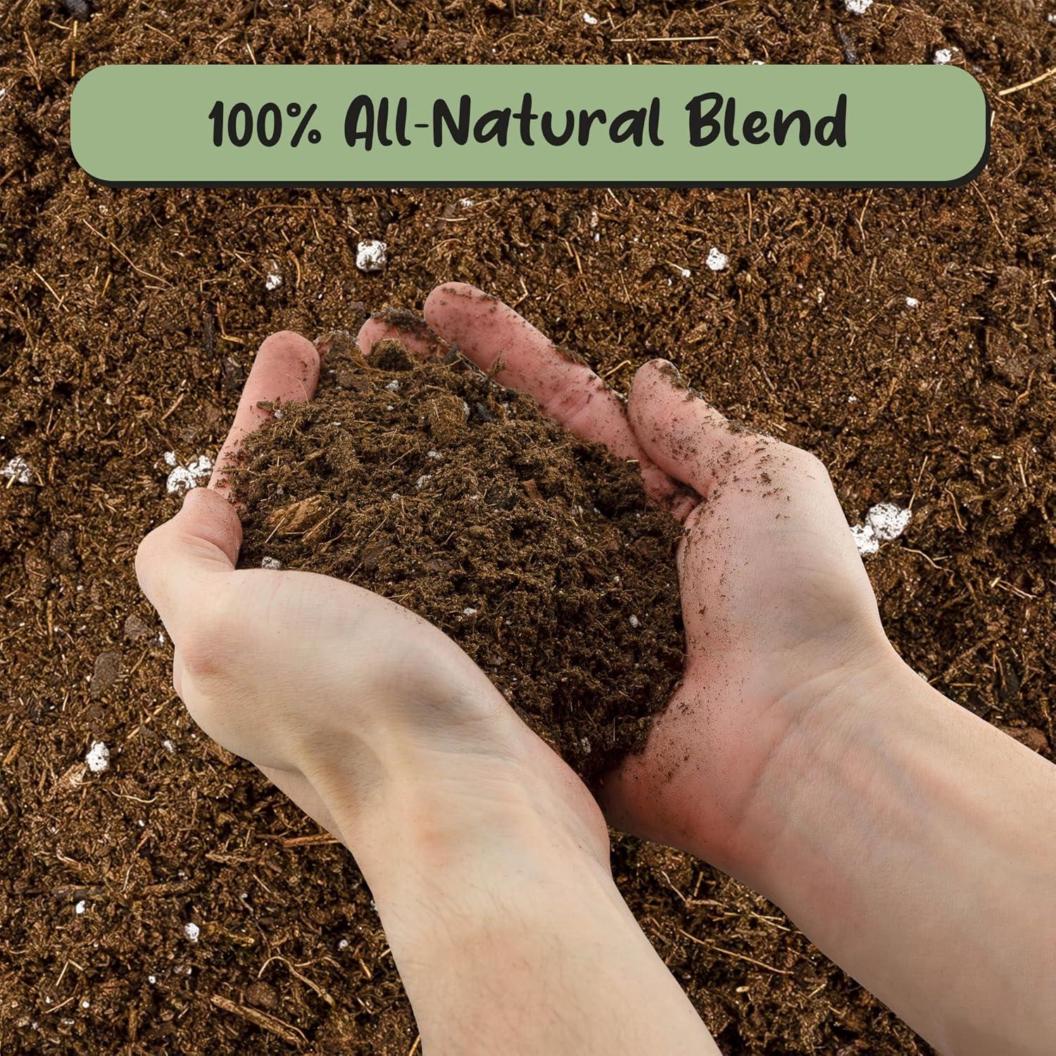 Mezcla de Tierra para Macetas Monstera Soil Sunrise 8L