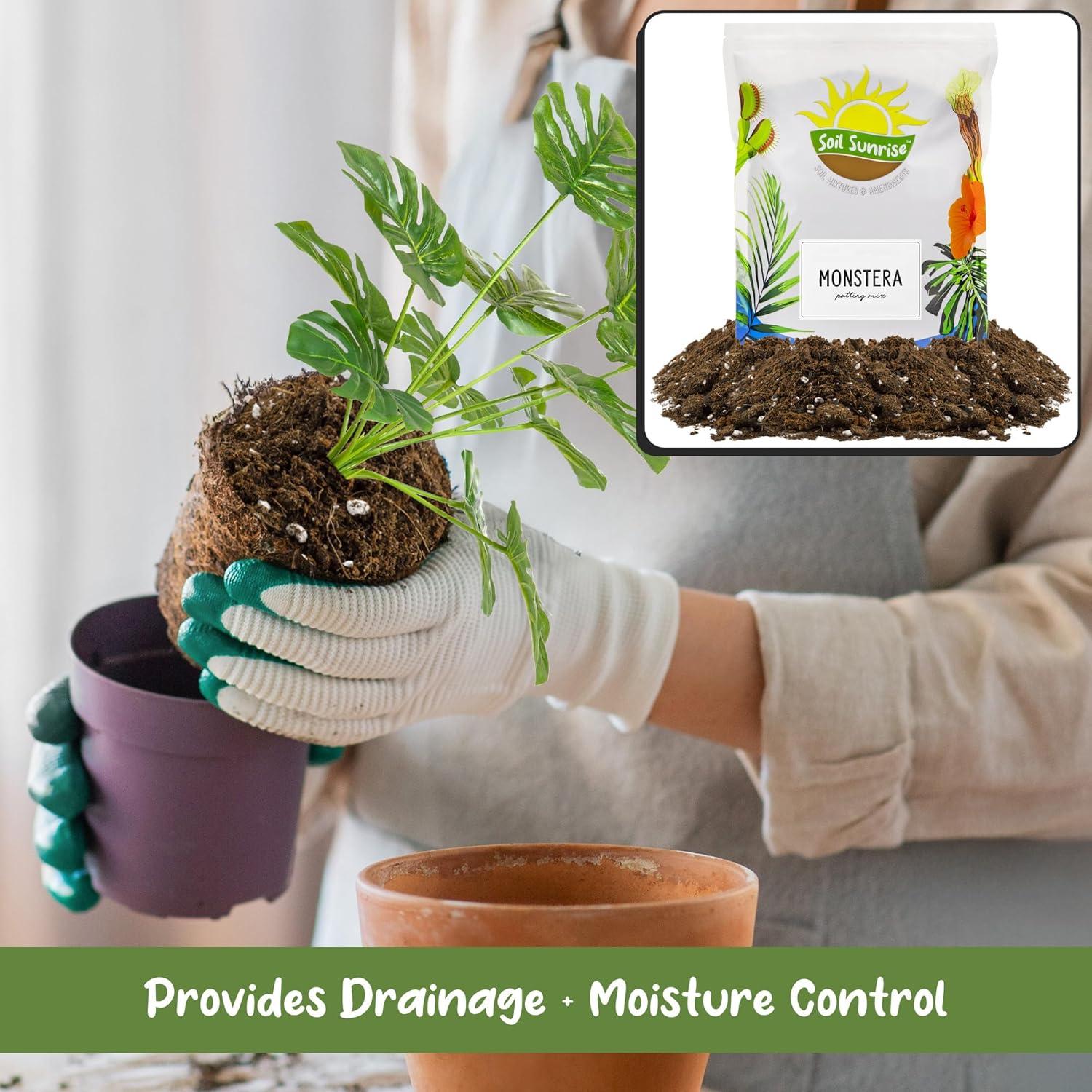 Mezcla de Tierra para Macetas Monstera Soil Sunrise 8L