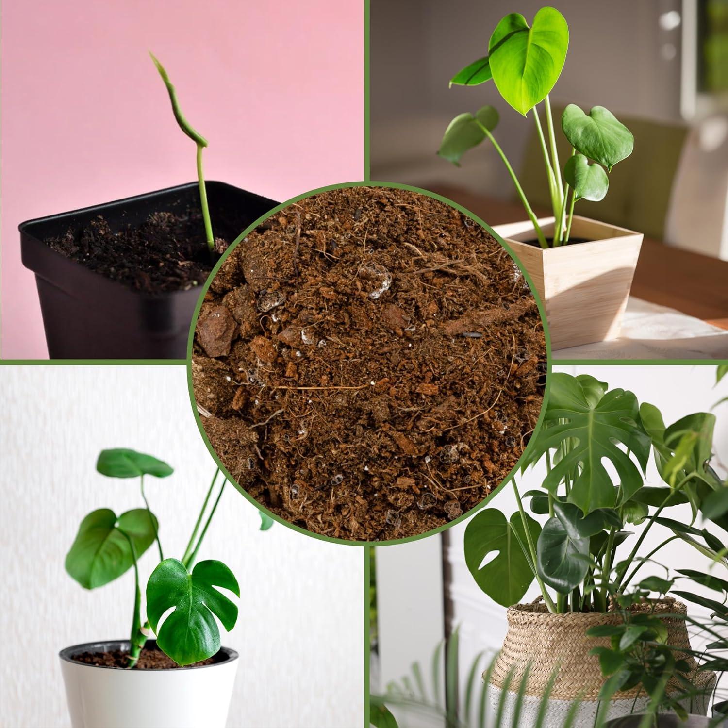 Mezcla de Tierra para Macetas Monstera Soil Sunrise 8L