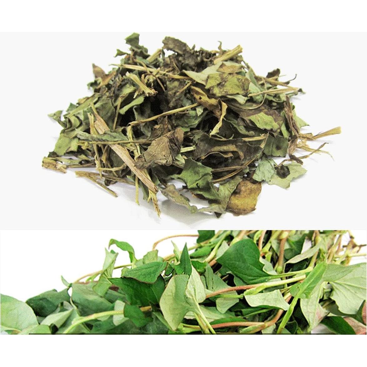 Extracto en polvo de Houttuynia Cordata Goodlife 300g