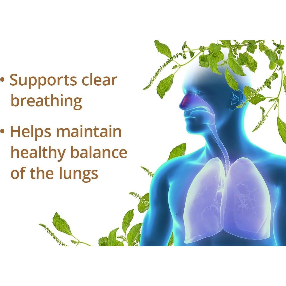 Cápsulas Perilla Clear Dragon Herbs - 60 Cápsulas 500 mg