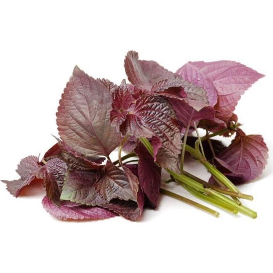 Extracto en polvo de Perilla Frutescens Goodlife 300g