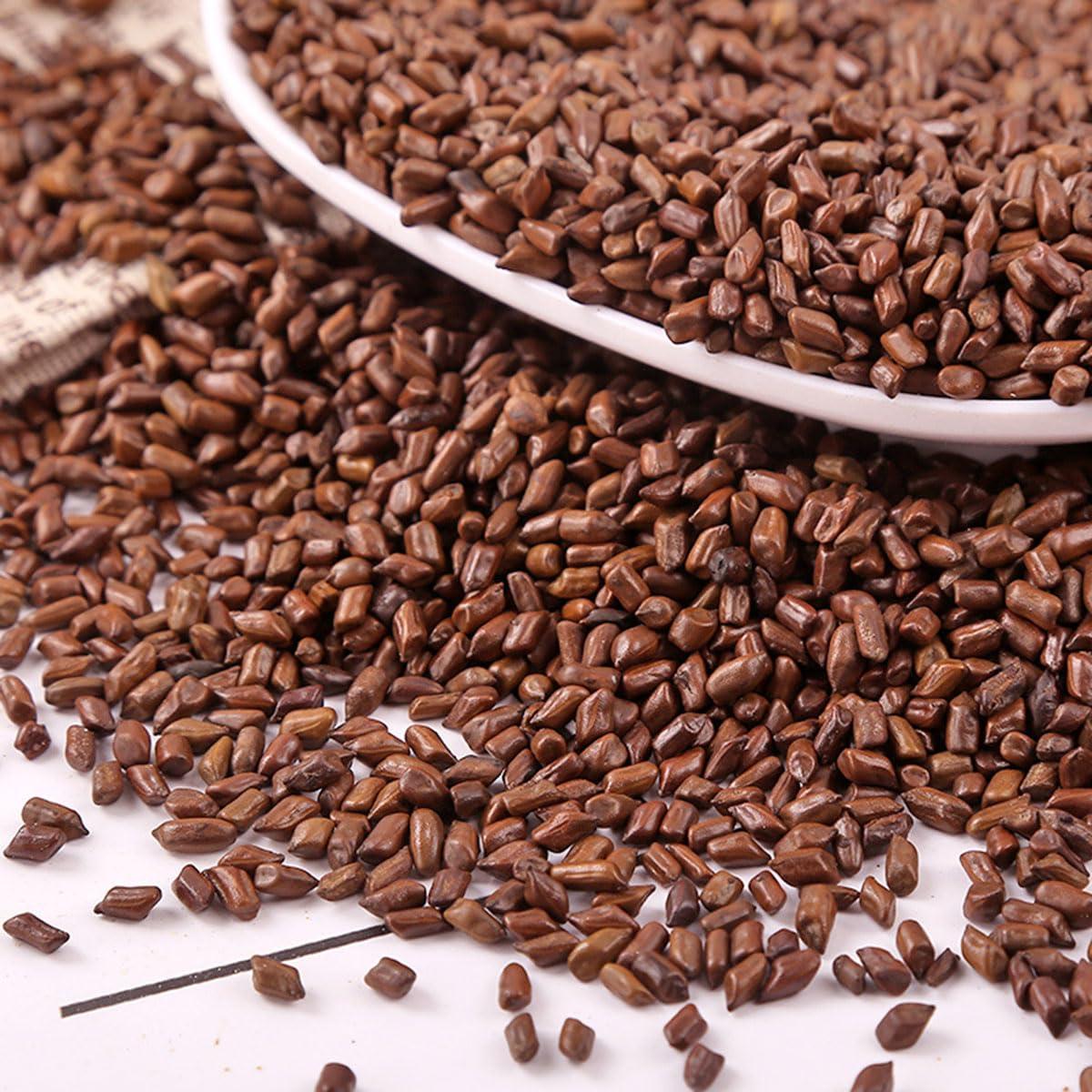 Té de Semillas de Cassia 500 g Jue Ming Zi - Sabor a Café