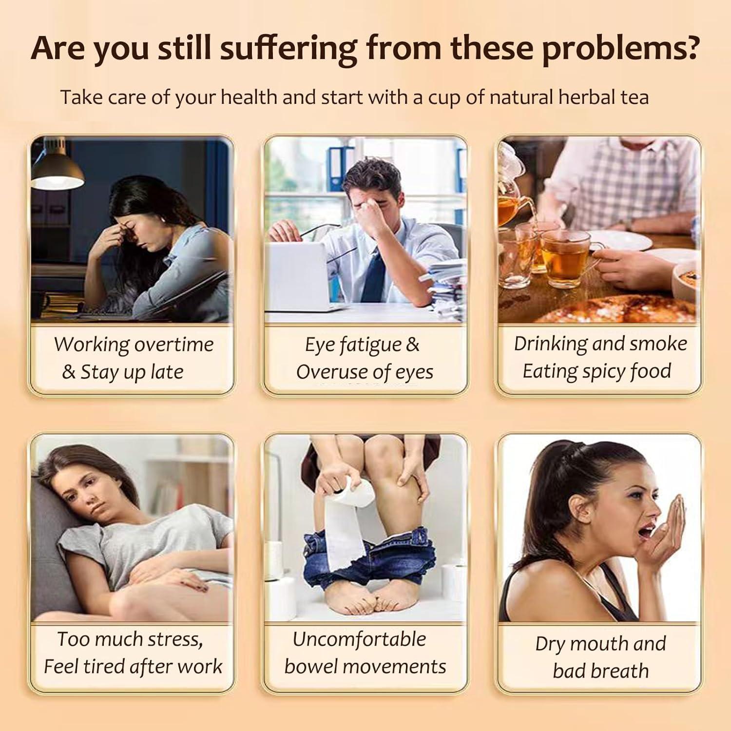 Té Orgánico de Diente de León y Goji Meideal 288g 24 Pcs