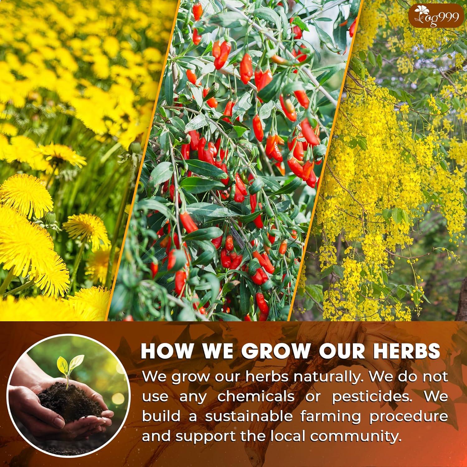 Té Herbal TOG999 15 Bolsas Diente de León y Goji Natural