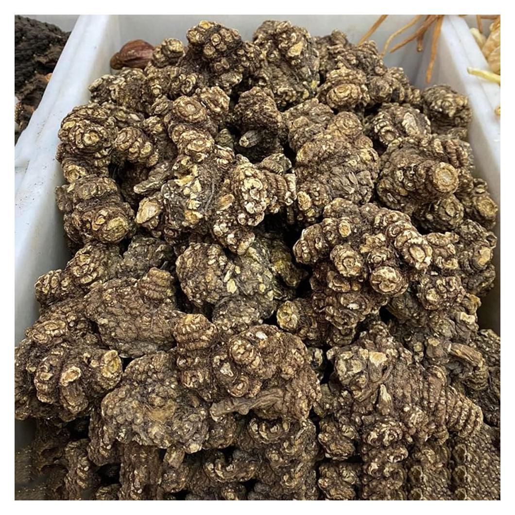 Rhizoma Chuanxiong 250g - Medicina Tradicional China