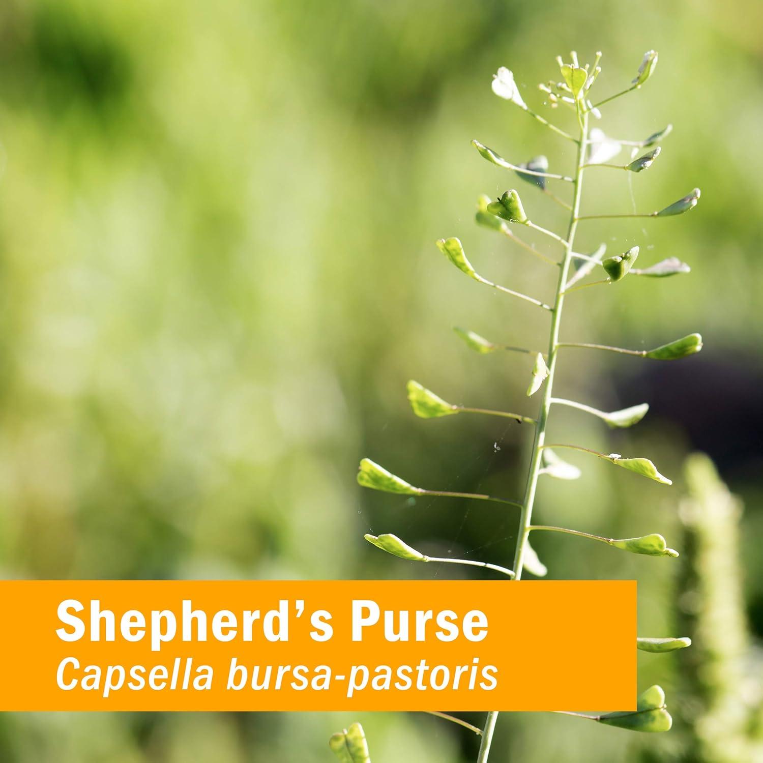 Extracto Líquido de Bolsa de Pastor Herb Pharm 30 ml Orgánico