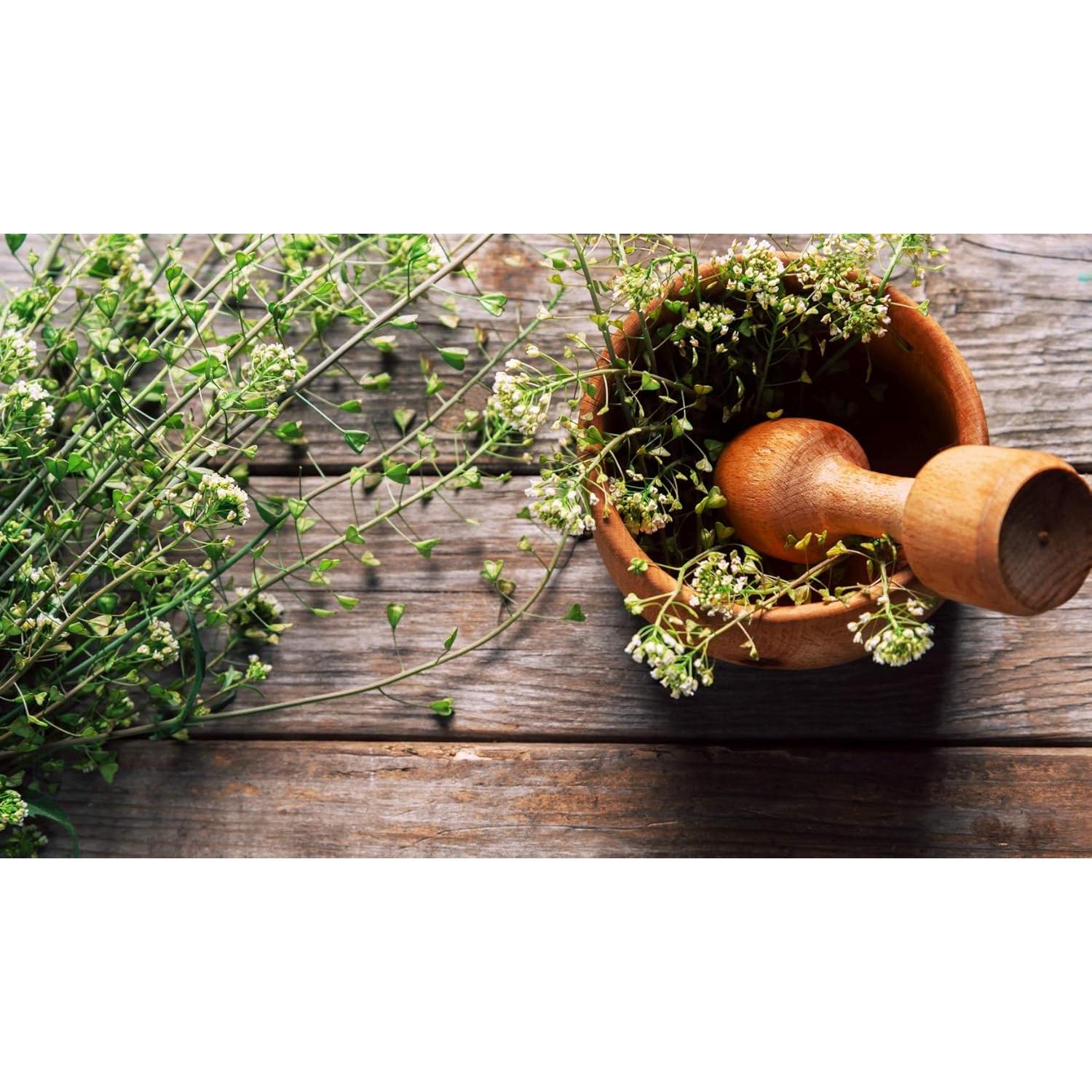 Té Herbal Bolsa de Pastor Health Embassy 50g - Natural y Libre de OGM