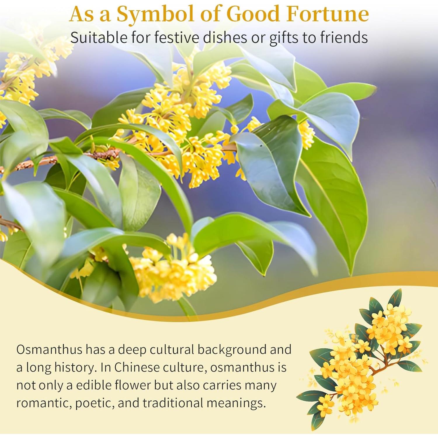 Té de Osmanthus Hee Creek 100g - Flor Seco Natural