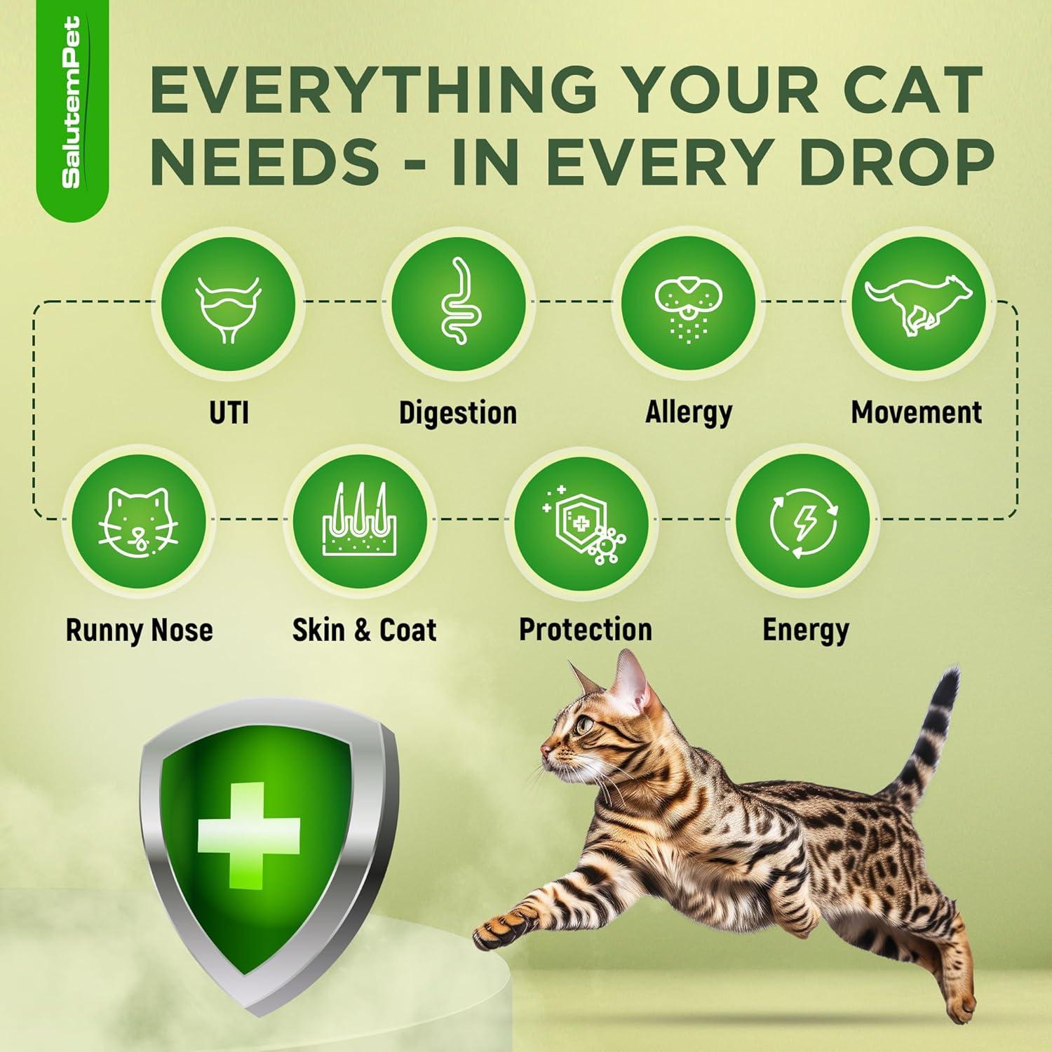 Antibiótico Natural para Gatos SalutemPet 60 ml - Infecciones y Alergias