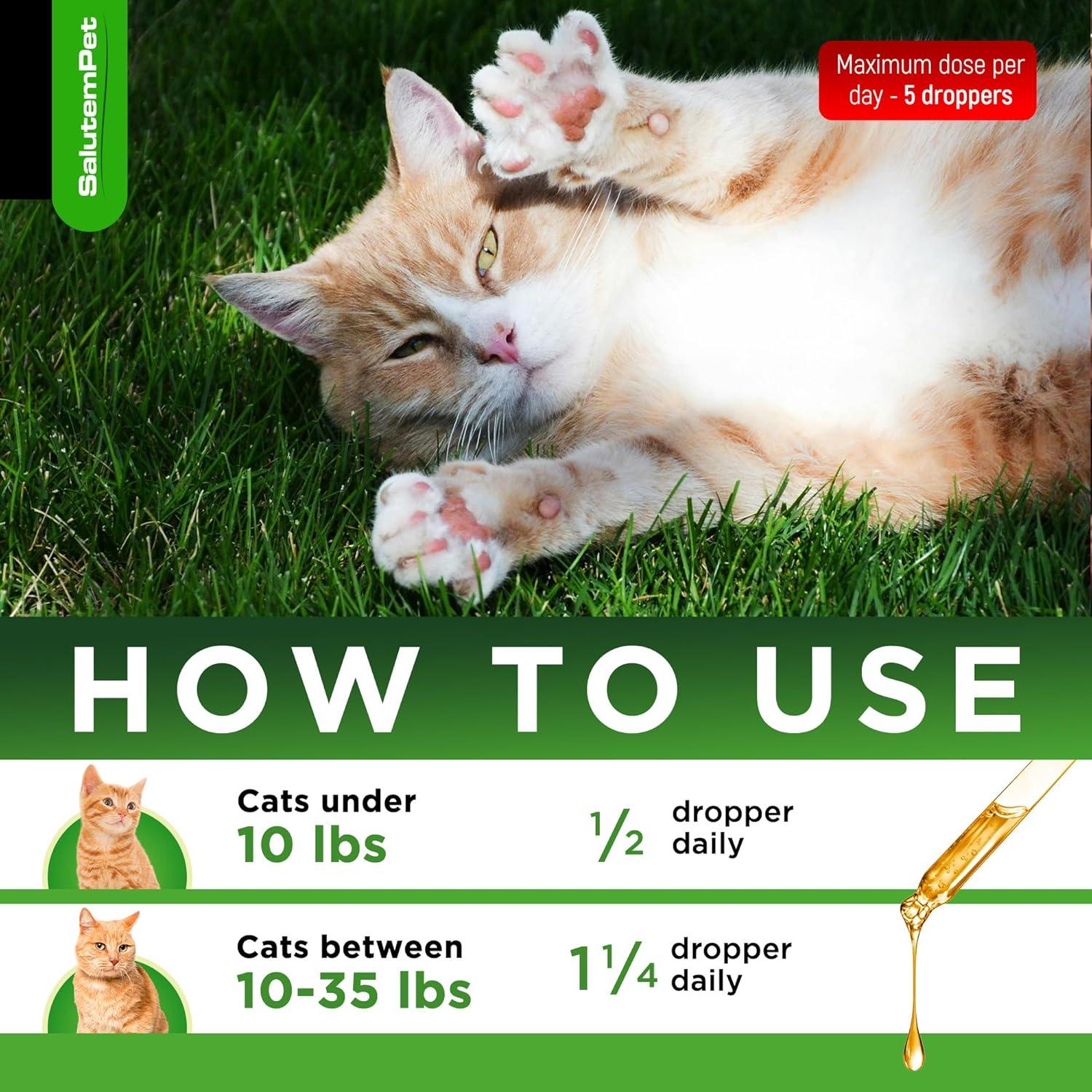 Antibiótico Natural para Gatos SalutemPet 60 ml - Infecciones y Alergias