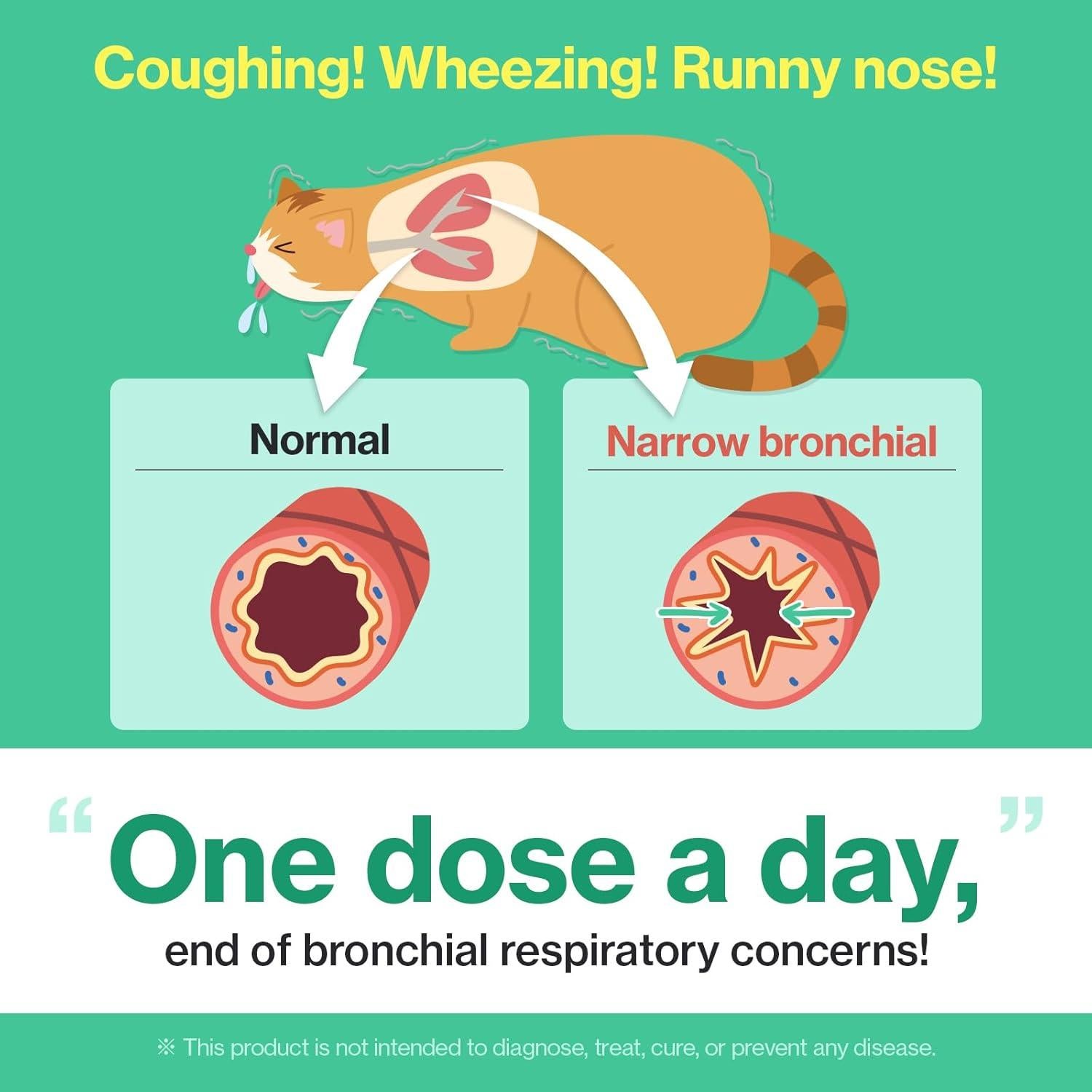 Suplemento Respiratorio para Gatos Dr.BY 240g - Alivio Tos y Estornudos