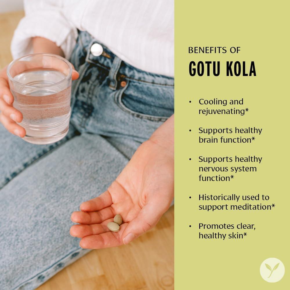 Suplemento Nootrópico Gotu Kola Banyan Botanicals 90 Tabletas