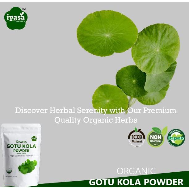 Polvo de Gotu Kola Orgánico Iyasa Holistics 226 g - Centella Asiática