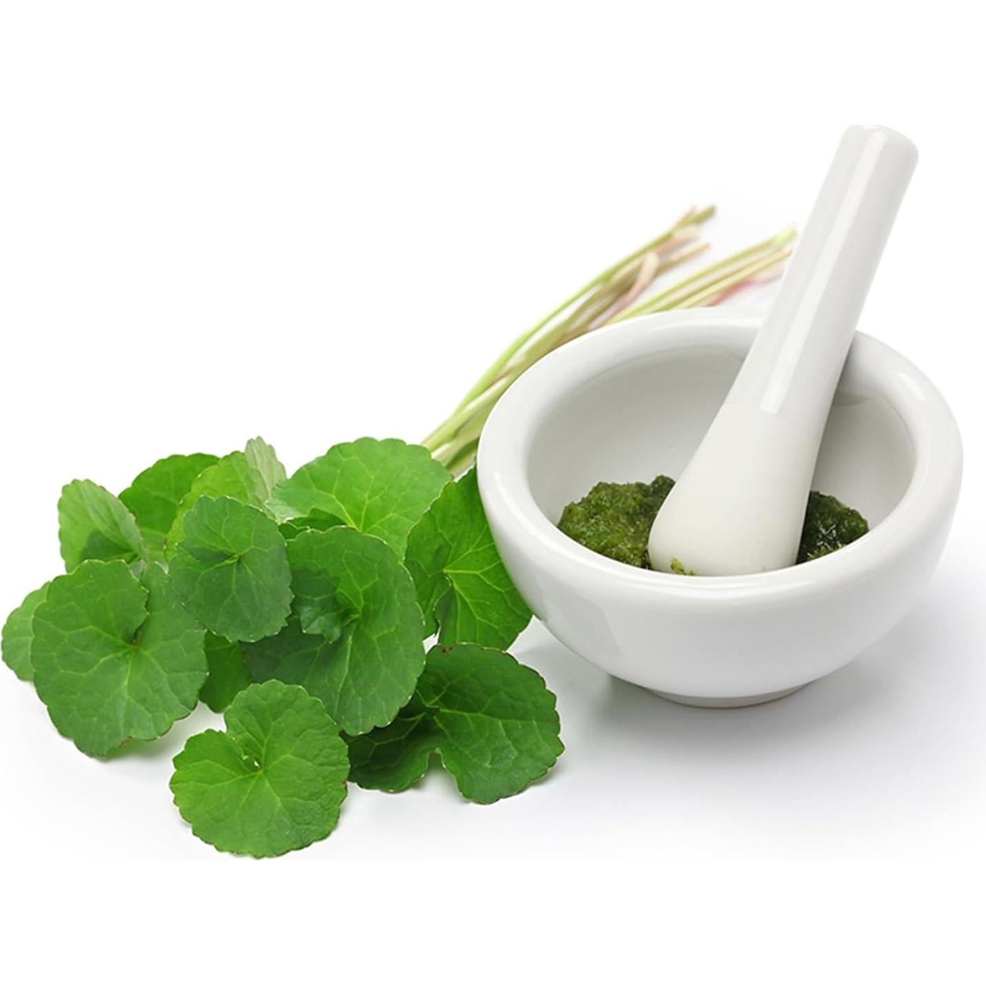 Polvo de Gotu Kola Orgánico Mi Nature 227g - Hierba Ayurvédica