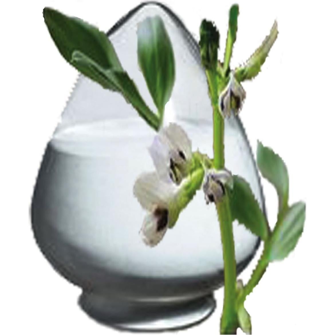 Polvo de L-Dopa 99% CurEase - Extracto Mucuna Pruriens 120g