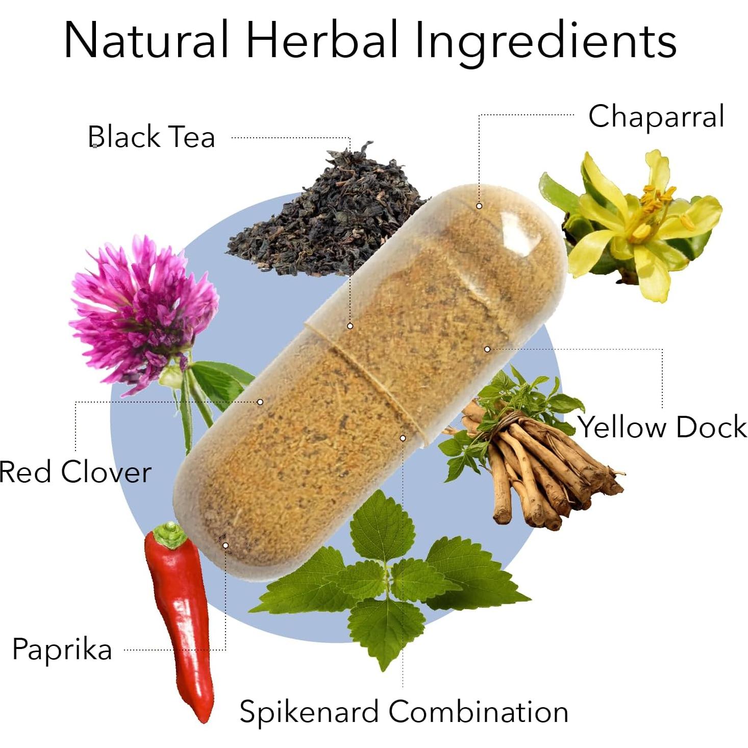 Desintoxicación Herbal Kroeger Chem X 81.65g - Sin OGM, Vegano