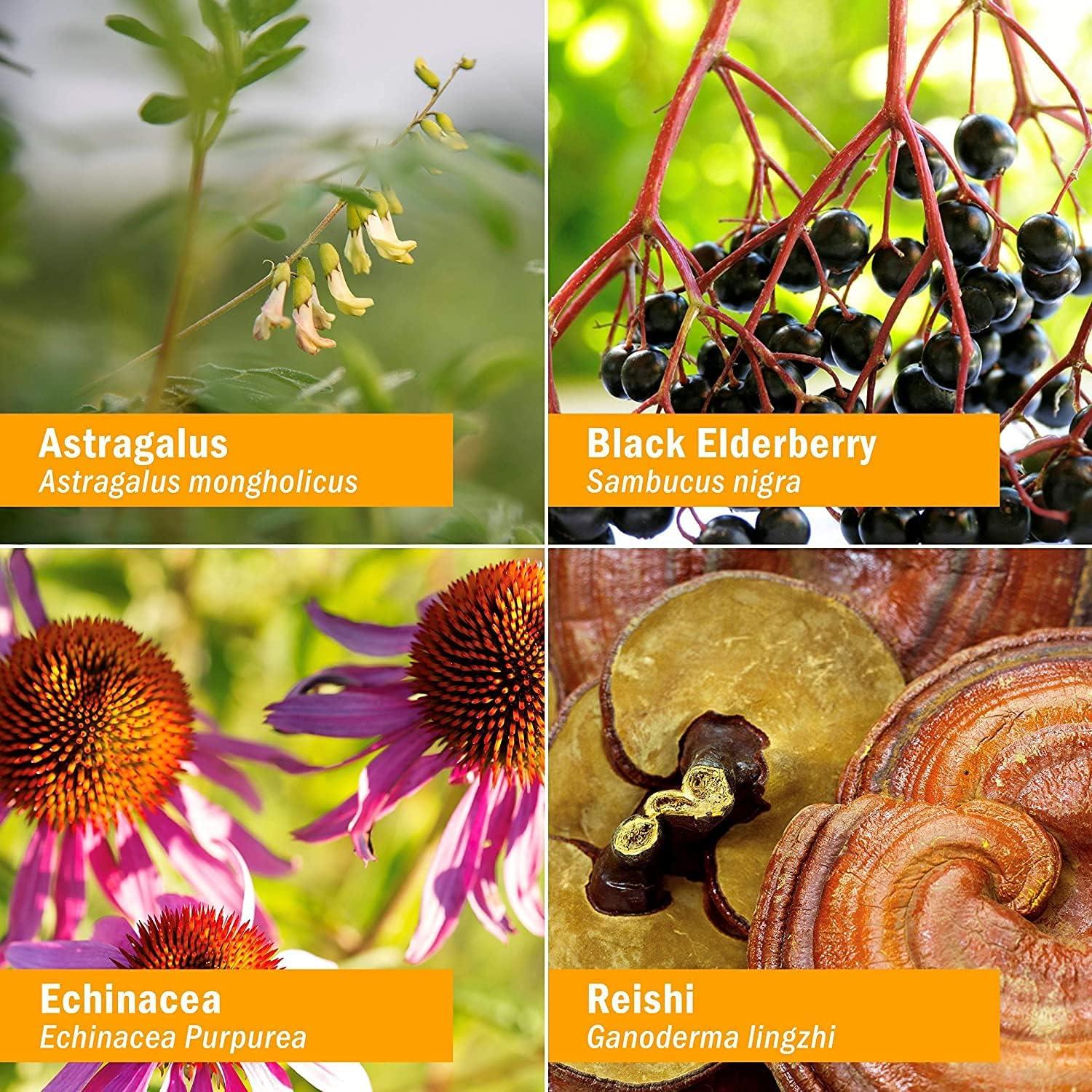 Fortificador Inmunológico Herbal Herb Pharm Niños 118 ml