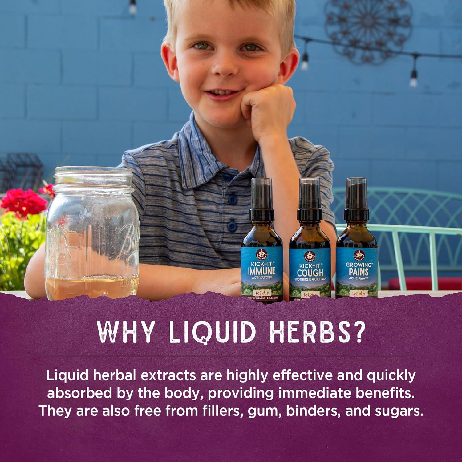 Suplemento Inmunidad Diaria WishGarden 118 ml Niños Herbal