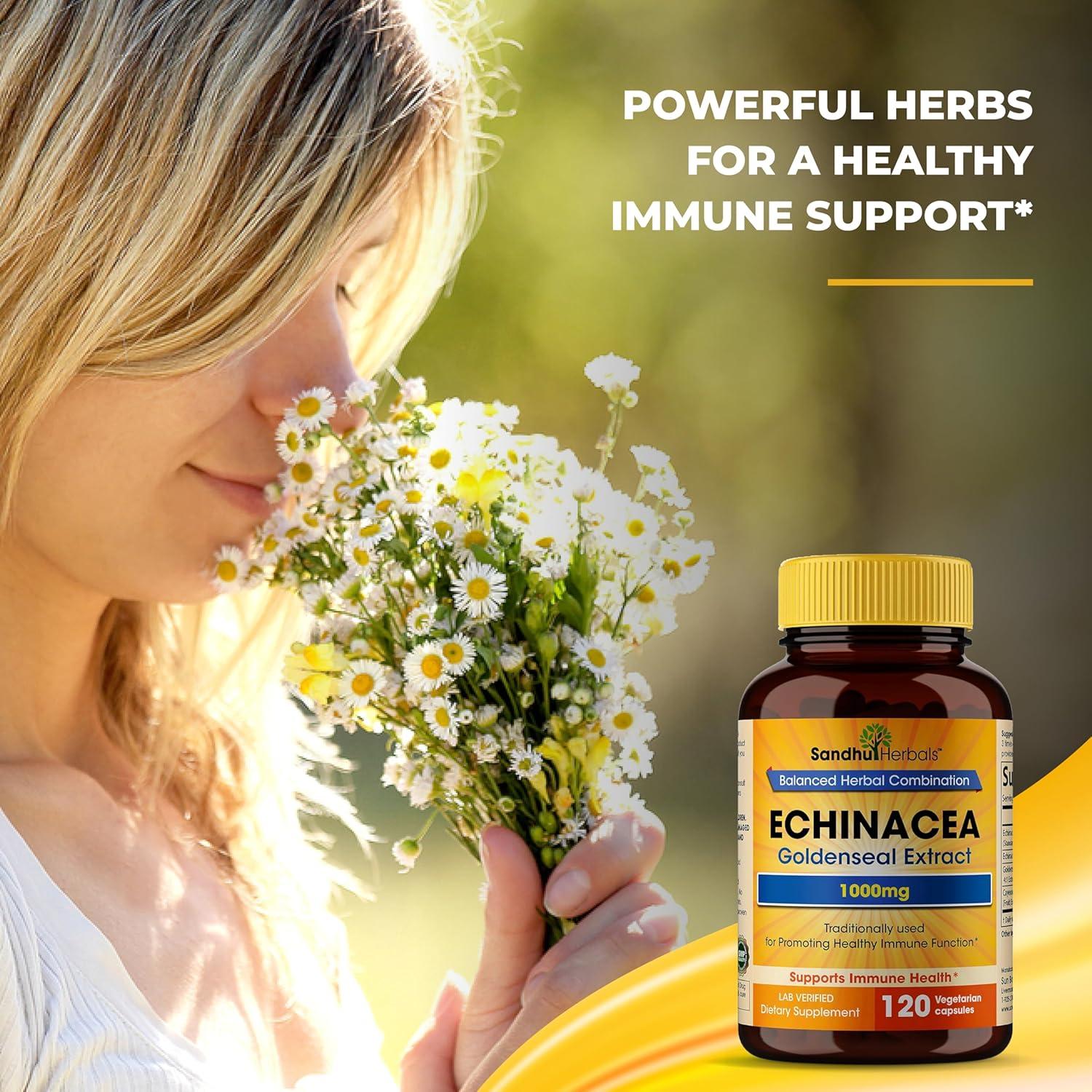 Echinacea Goldenseal 1000 mg Sandhu Herbals 120 Cápsulas