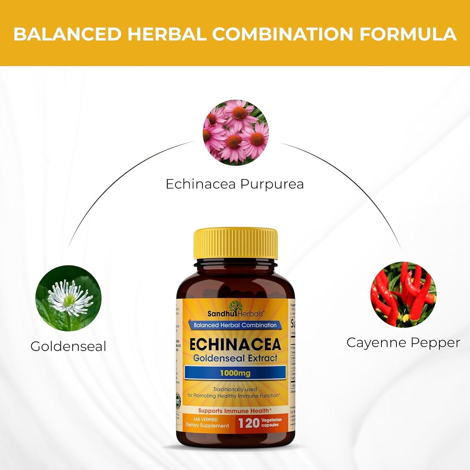 Echinacea Goldenseal 1000 mg Sandhu Herbals 120 Cápsulas