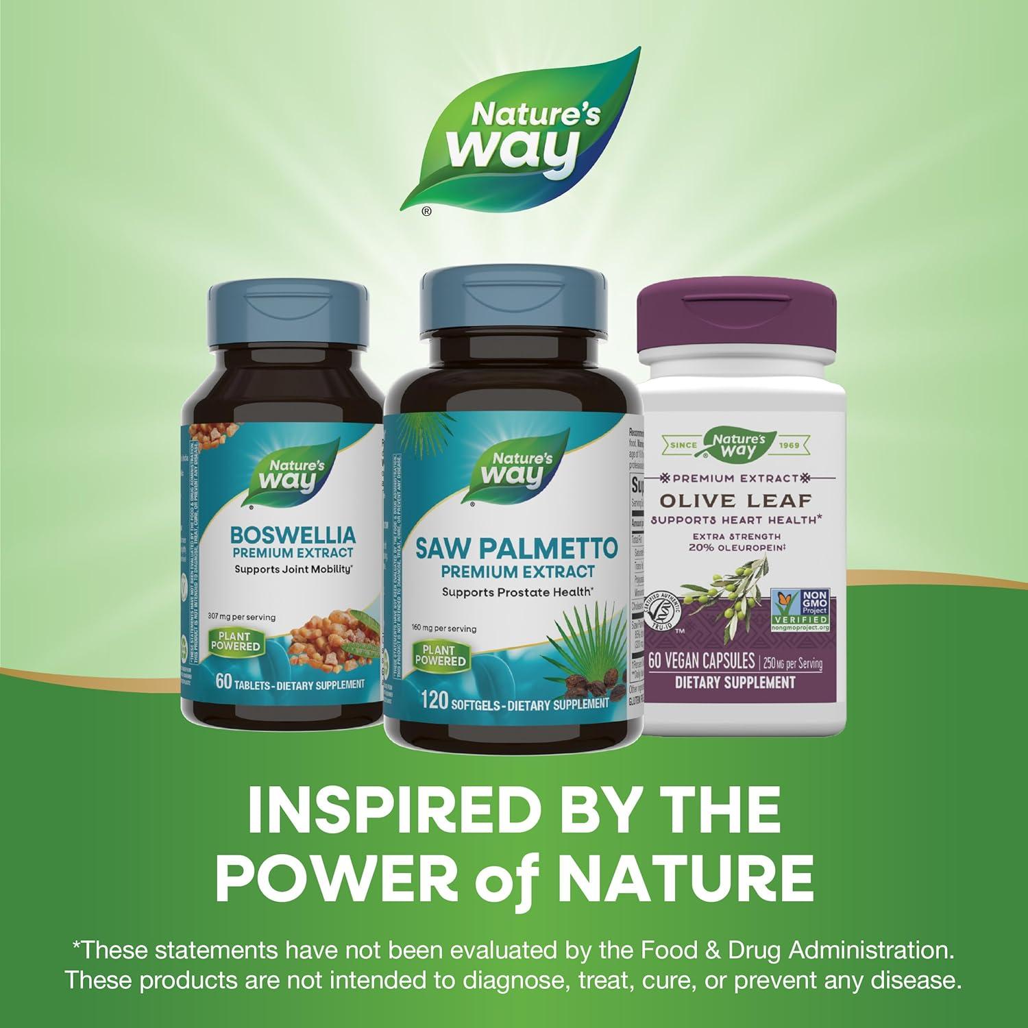 Extracto de Saw Palmetto Nature's Way 160 mg 120 Gelatinas