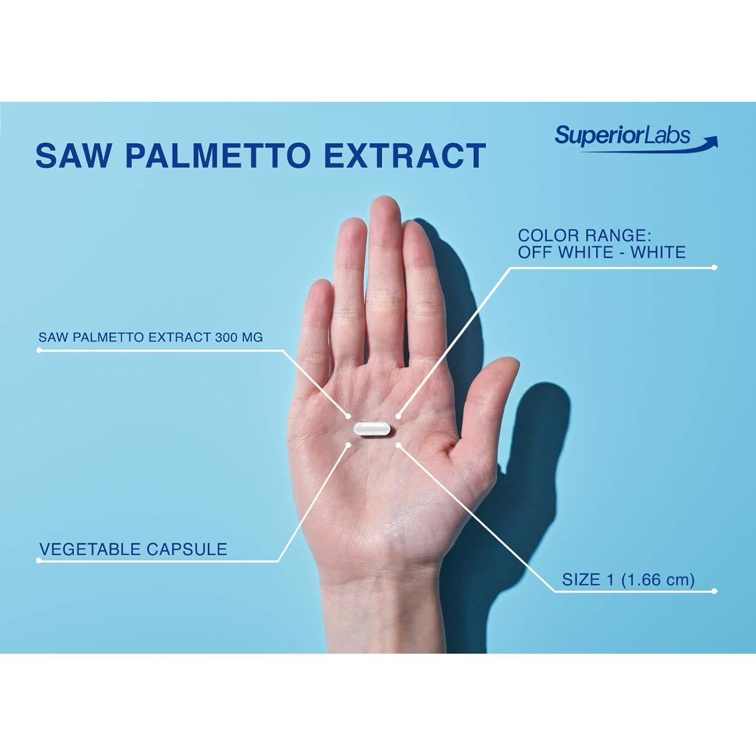 Extracto de Saw Palmetto Superior Labs 300 mg 120 Cápsulas