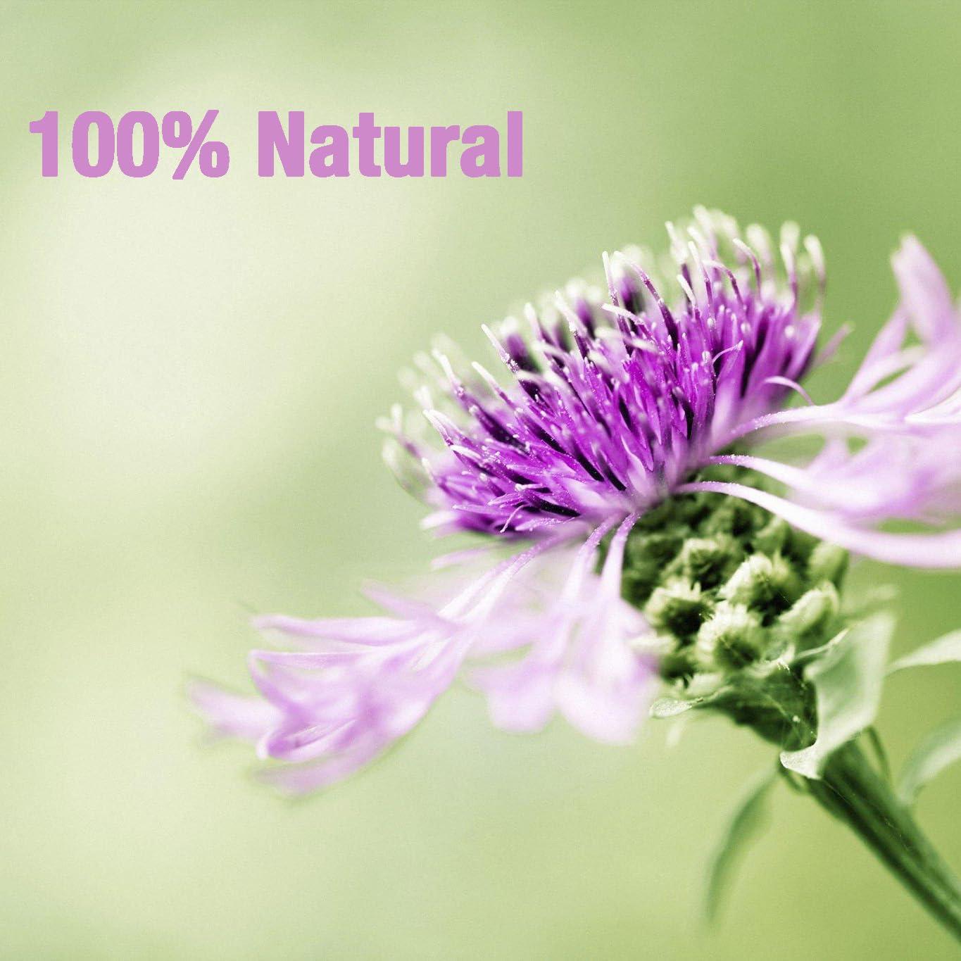 50 Bolsitas de Té de Cardo Lechoso Thorne - Desintoxicación