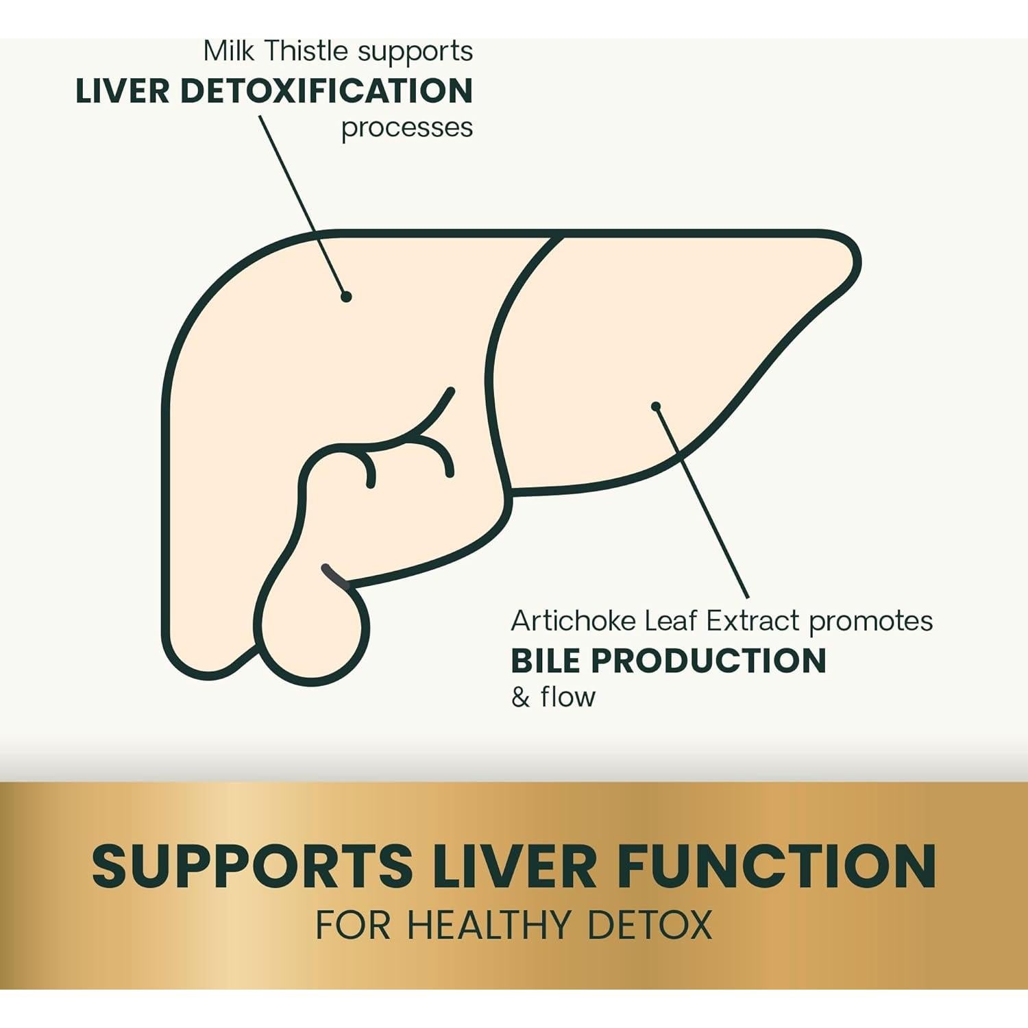 Suplemento Hepático VetriScience para Perros - 60 Masticables de Pollo