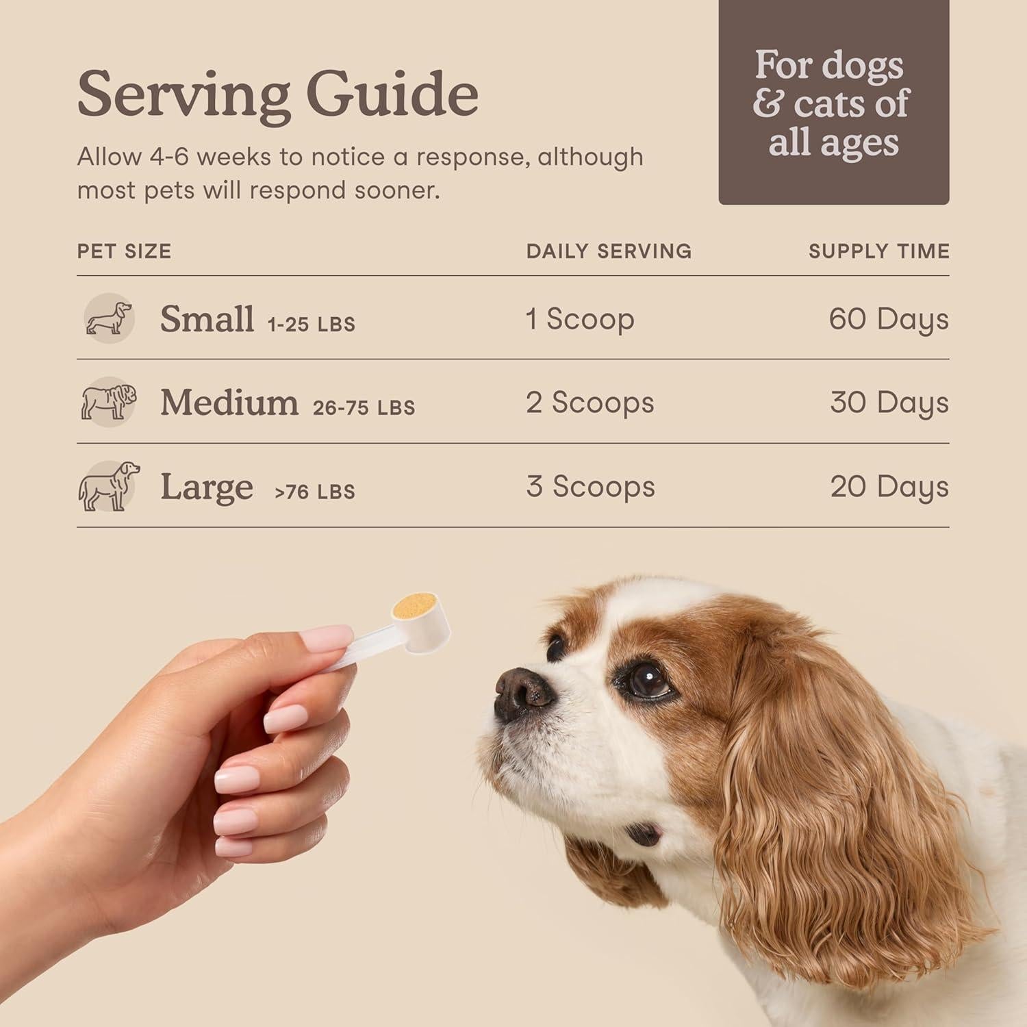 Suplemento Hepático Fera Pet Organics 60 Cucharadas para Mascotas