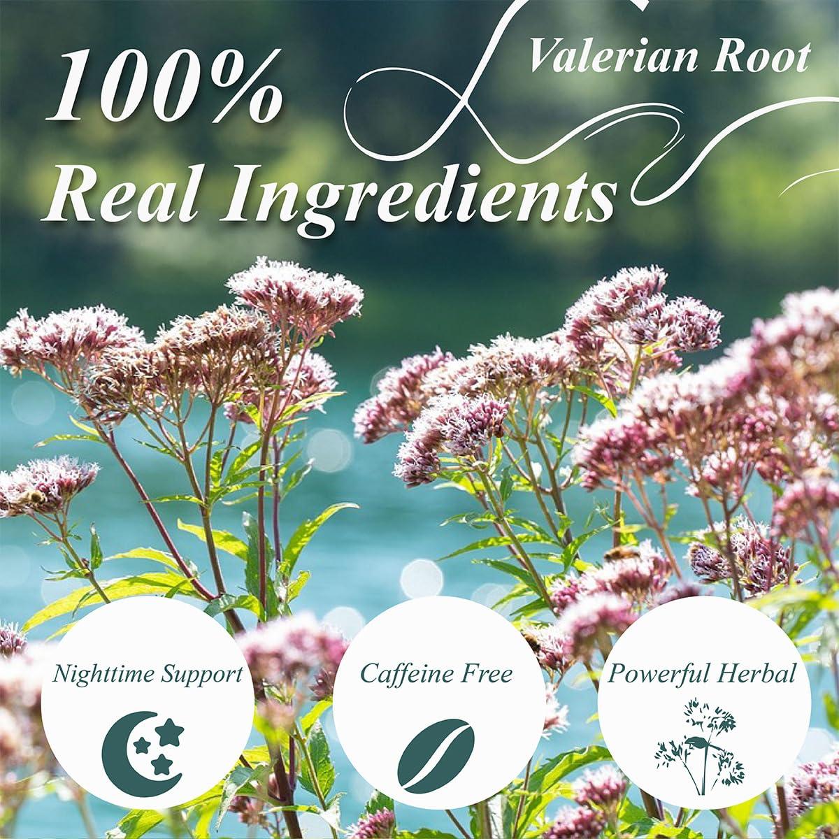 Bolsitas de Té de Raíz de Valeriana WT WEETEE 50 Unidades