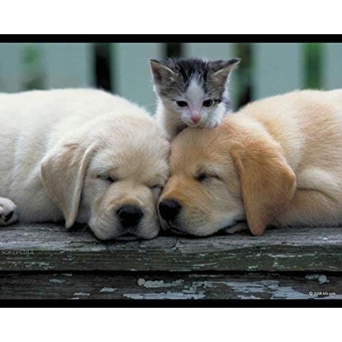 Suplemento Relajante para Mascotas Happy Pet - 90 Golosinas