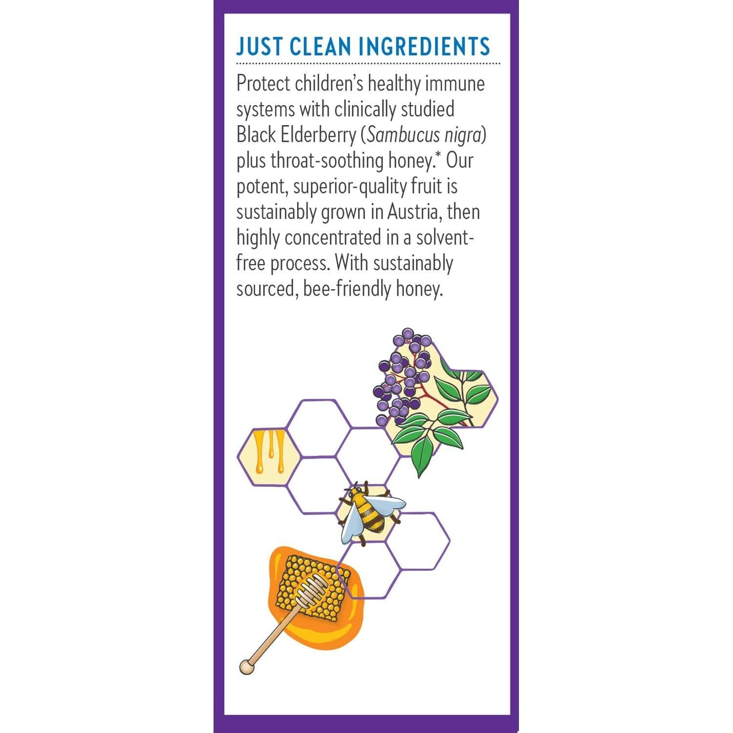 Jarabe de Saúco para Niños New Chapter 118ml - Defensa Inmunológica