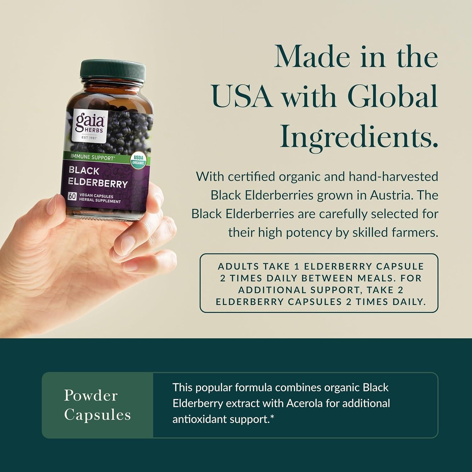 Suplemento Inmunológico Gaia Herbs Saúco Negro 60 Cápsulas