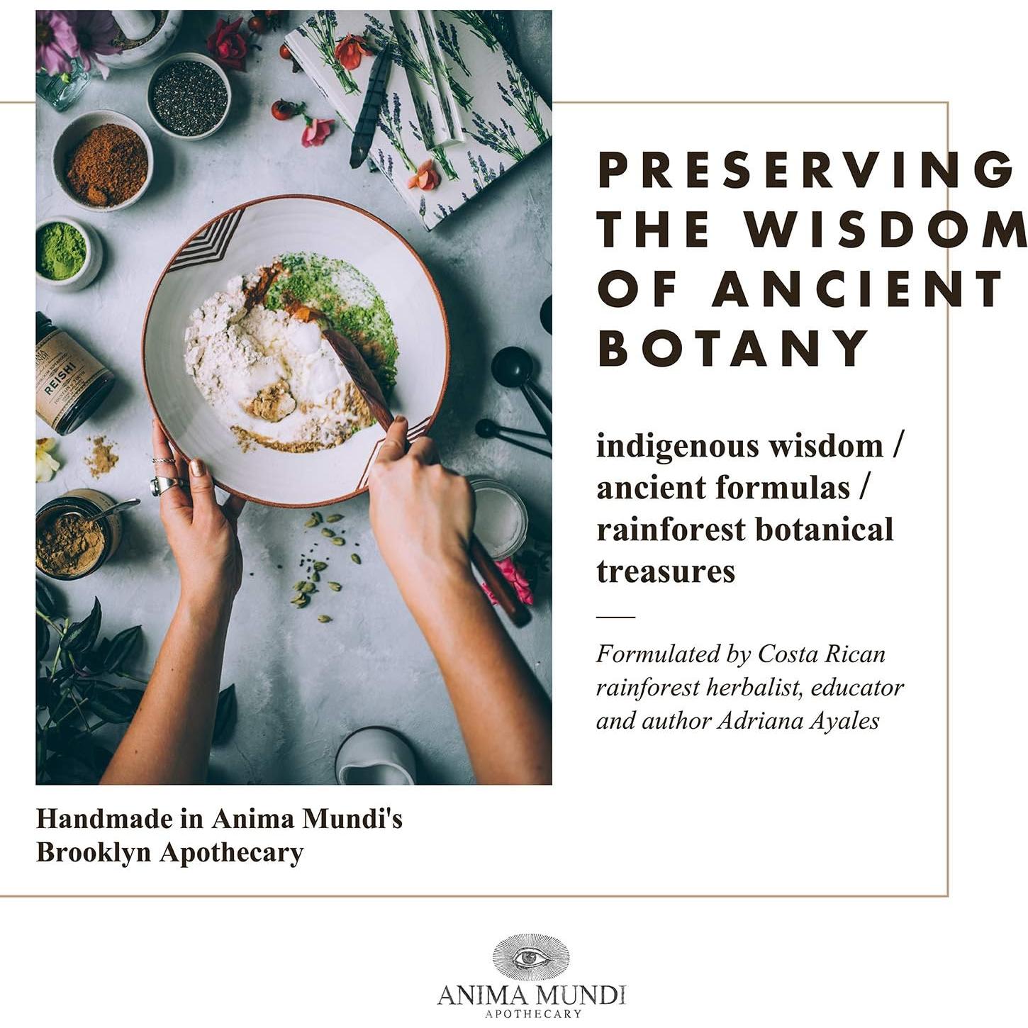 Jarabe de Saúco Negro Anima Mundi 59ml - Apoyo Inmunológico