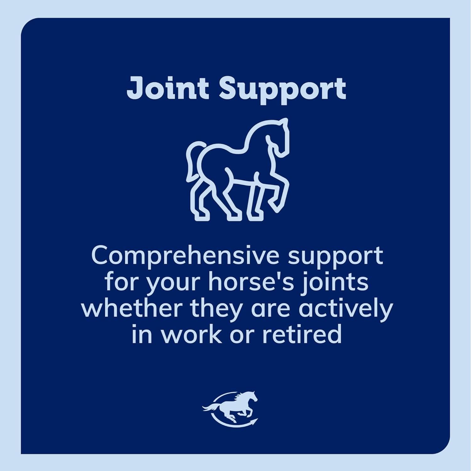 Suplemento Articular Uckele Garra del Diablo Plus 0.91 kg