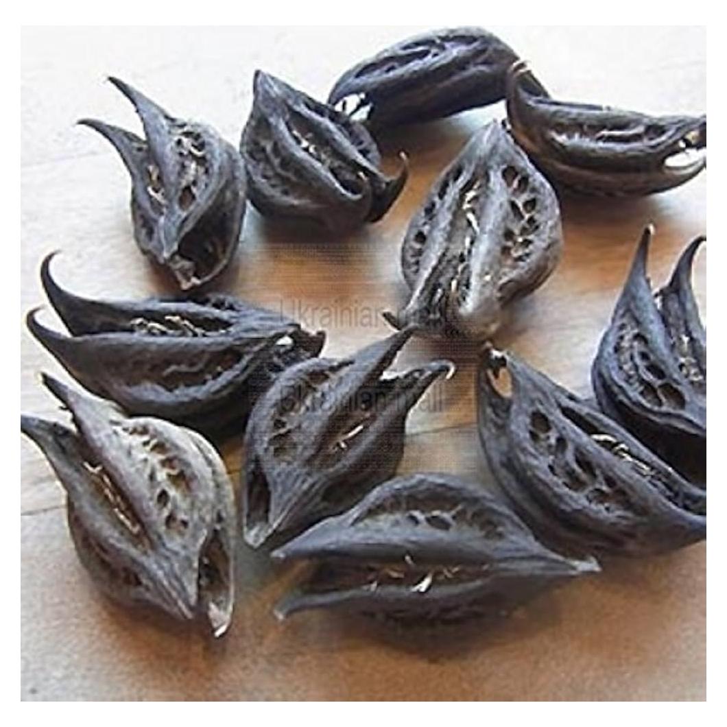 Raíz de Garra del Diablo EcoVista 227g - Remedio Herbal Natural