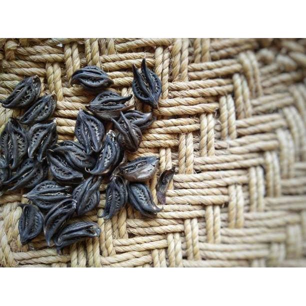 Raíz de Garra del Diablo EcoVista 227g - Remedio Herbal Natural