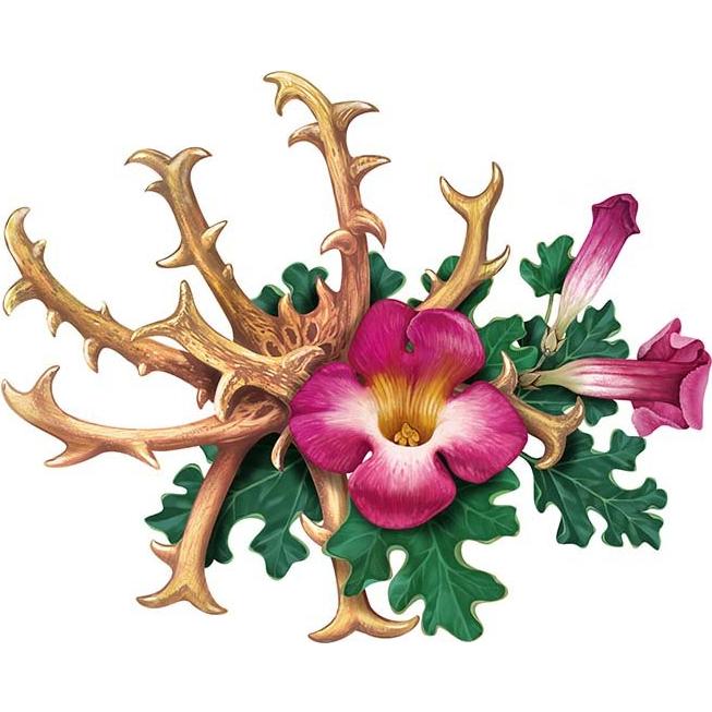 Raíz de Garra del Diablo Biokoma 100g - Té Herbal Natural