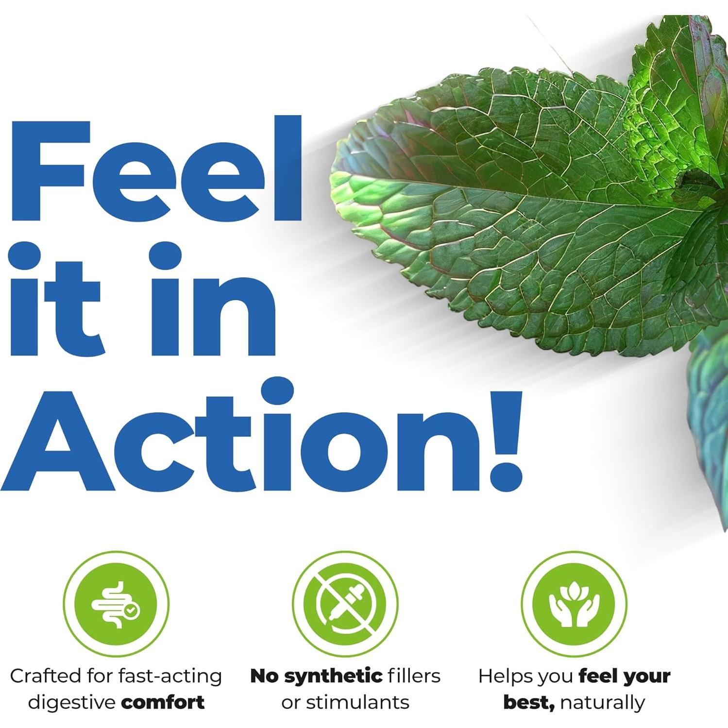 GutCalm - Suplemento Digestivo de Aceite de Menta - 12 Cápsulas