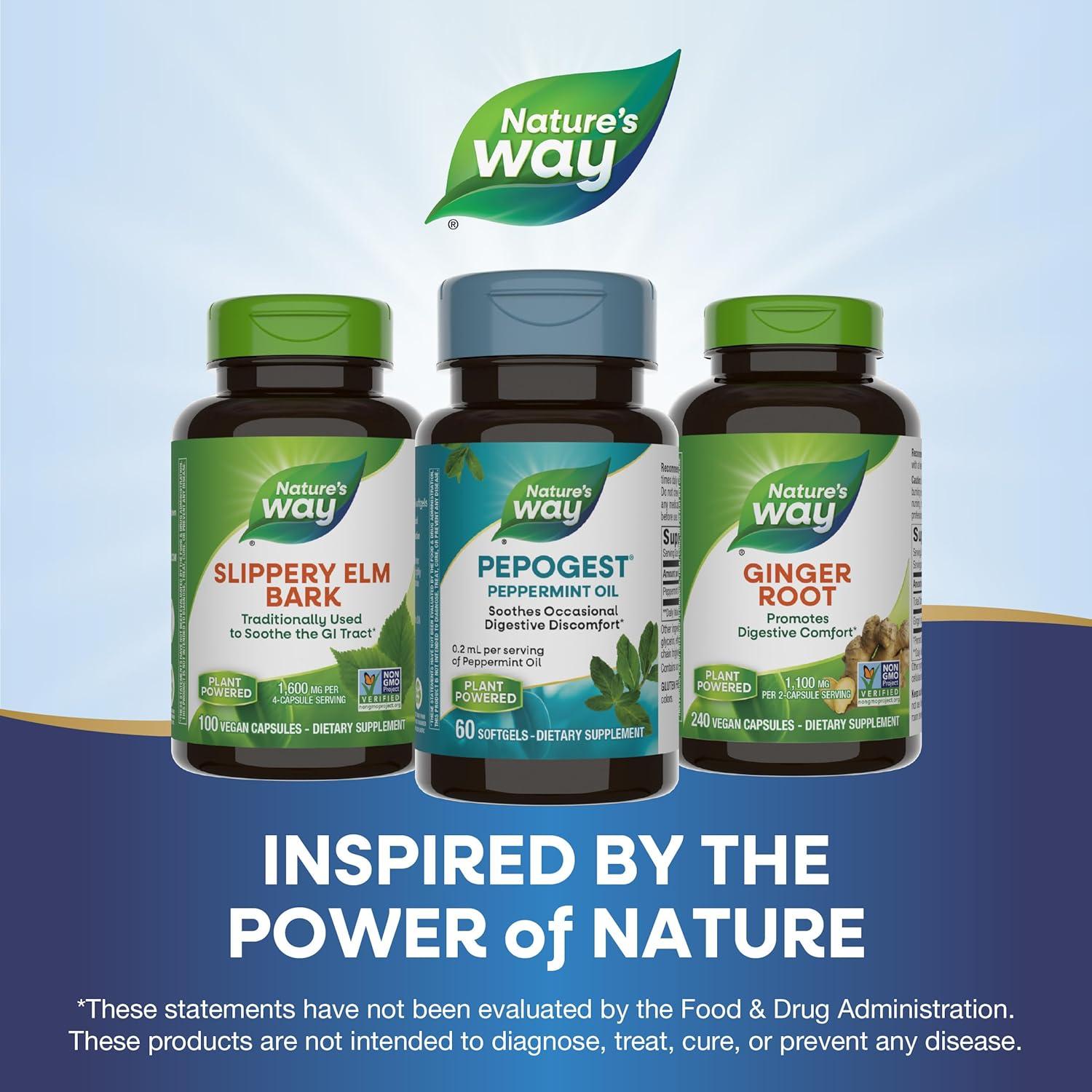 Aceite de Menta Pepogest Nature's Way 60 Gelatinas Blandas