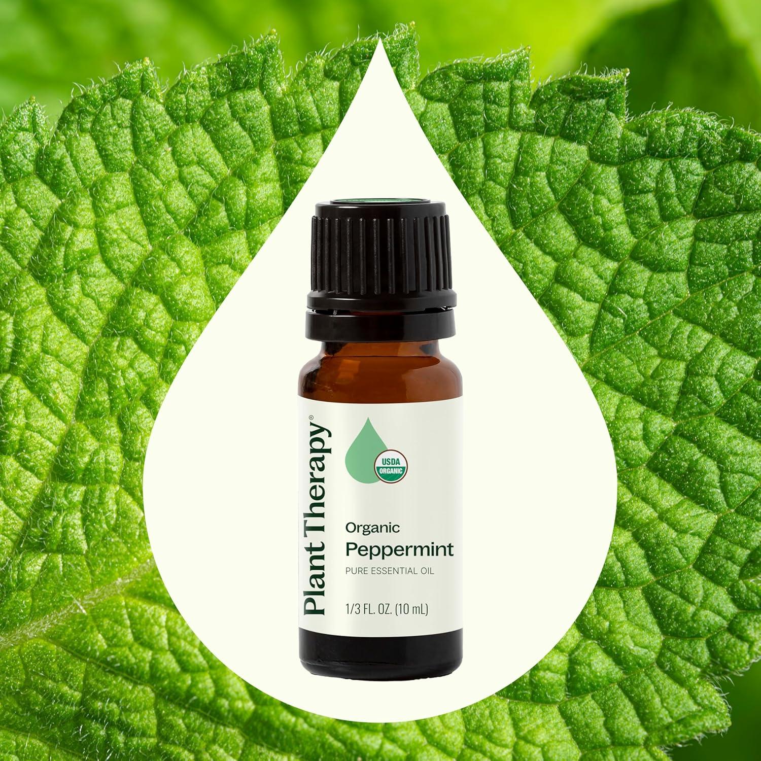 Aceite Esencial de Menta Orgánica Plant Therapy 10 mL Puro