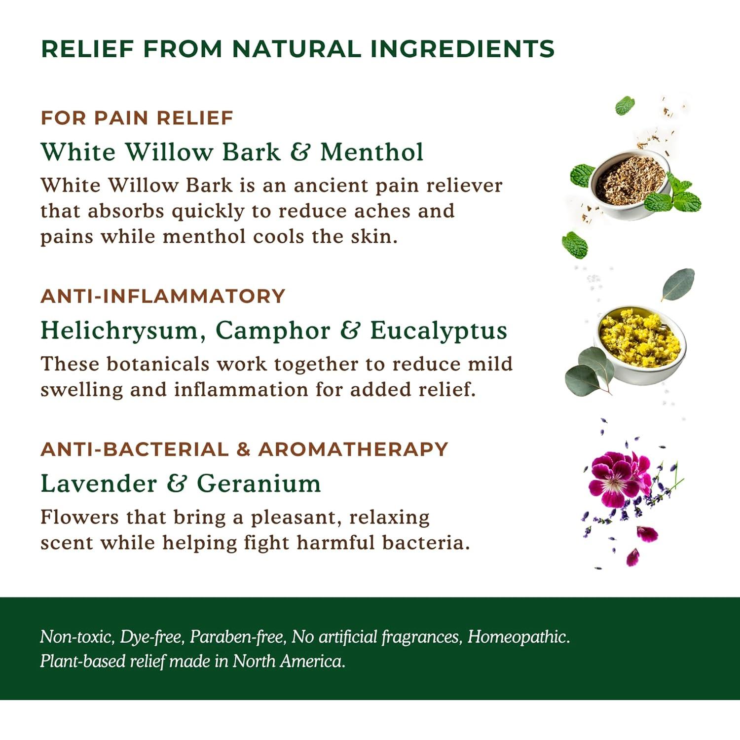 Parches Naturales XL Nature's Willow para Alivio Muscular y Articular - 18 Parches