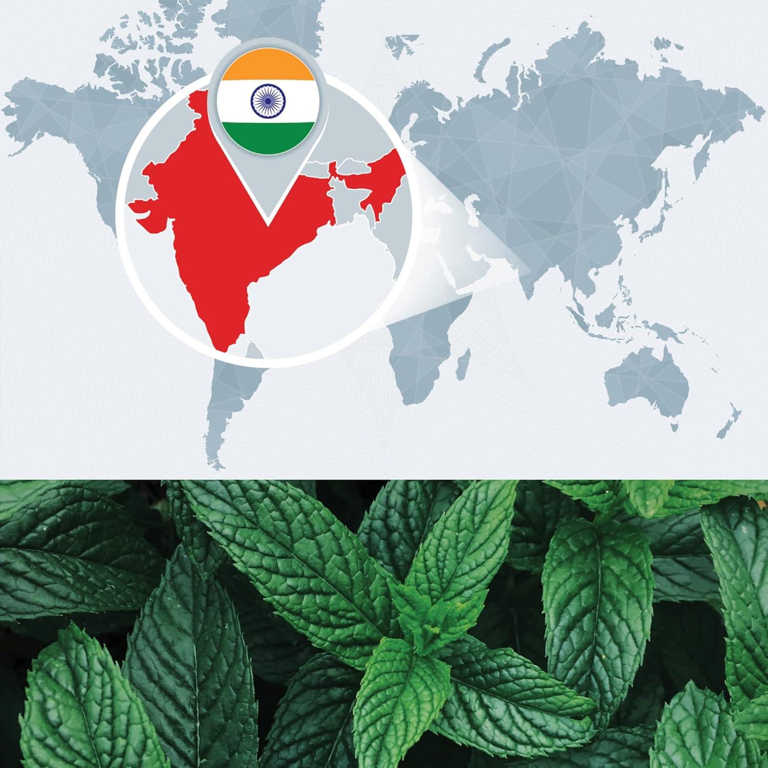 Aceite Esencial de Menta 100% Puro DIYBeauty 236.6 ml