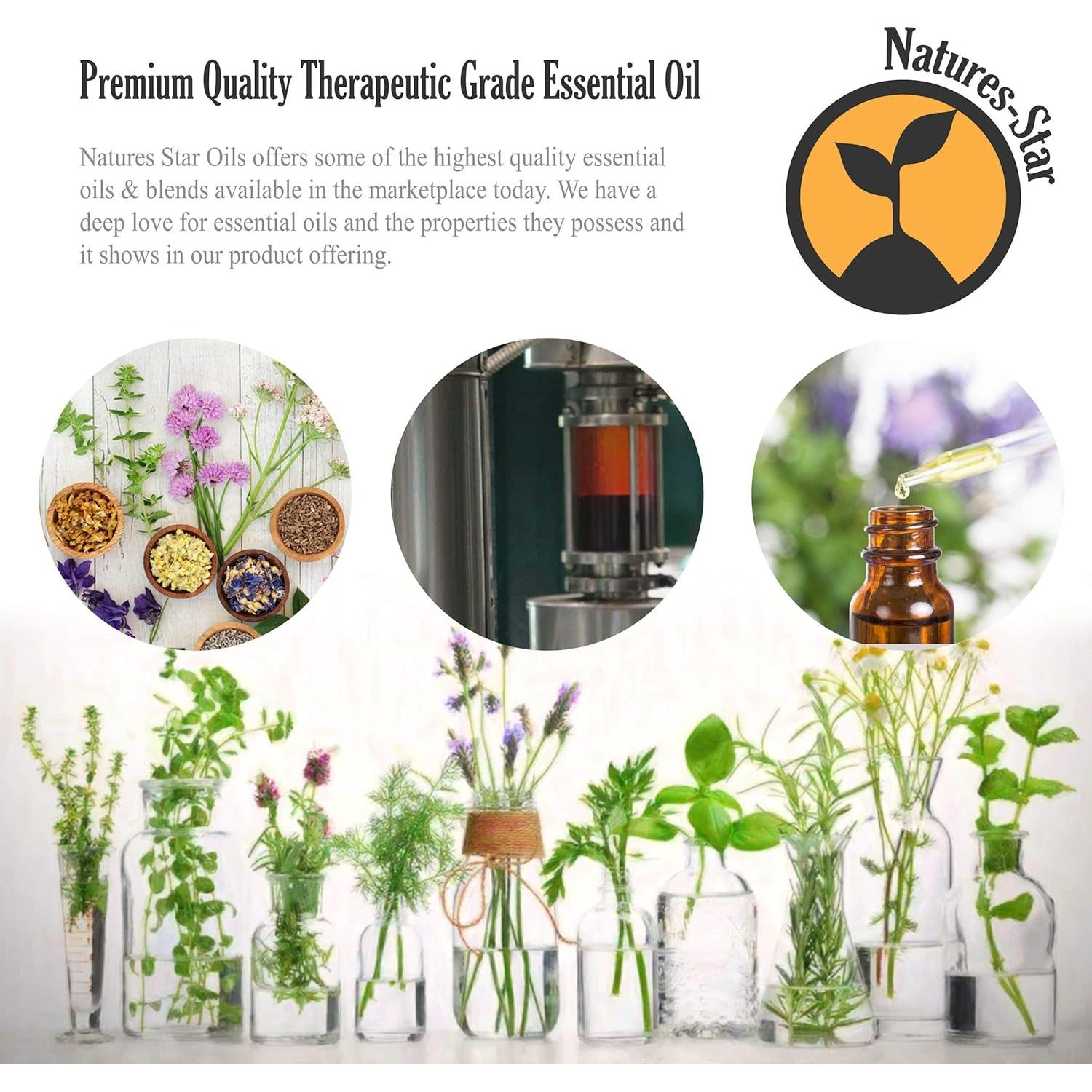 Aceite Esencial de Menta Natures Star 4x480ml para Aromaterapia