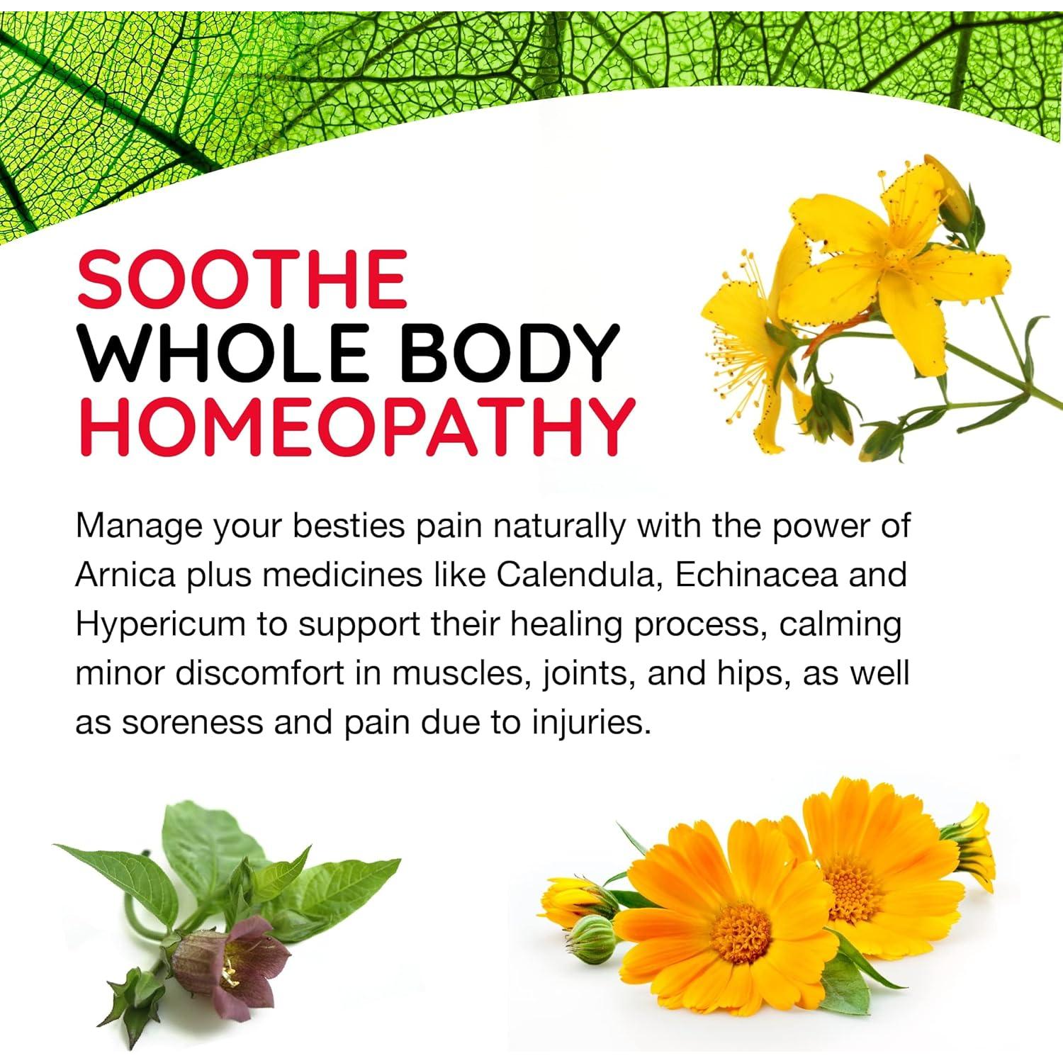 T-Relief Alivio Natural para Mascotas Arnica 90 Tabletas