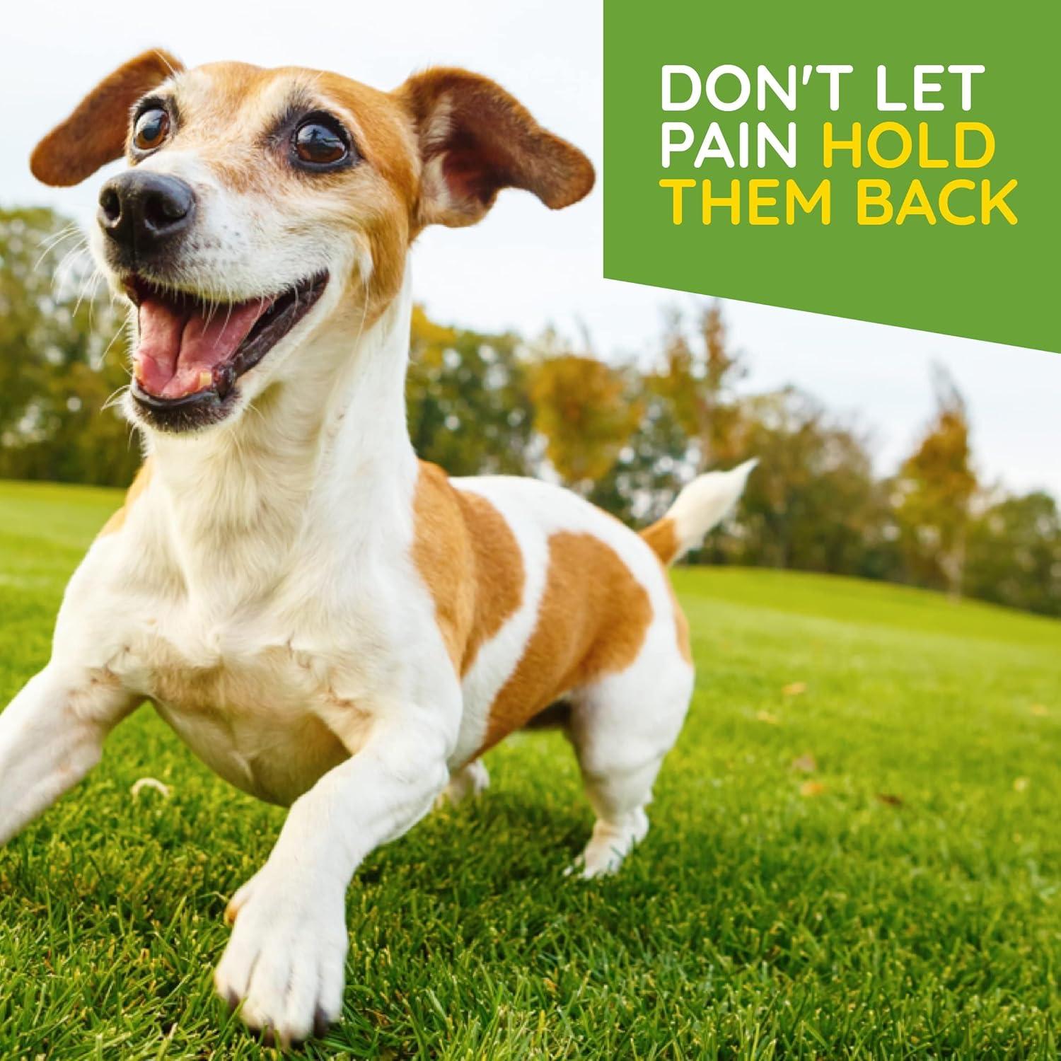 Gotas Homeopáticas MediNatura T-Relief para Mascotas 47.7 ml