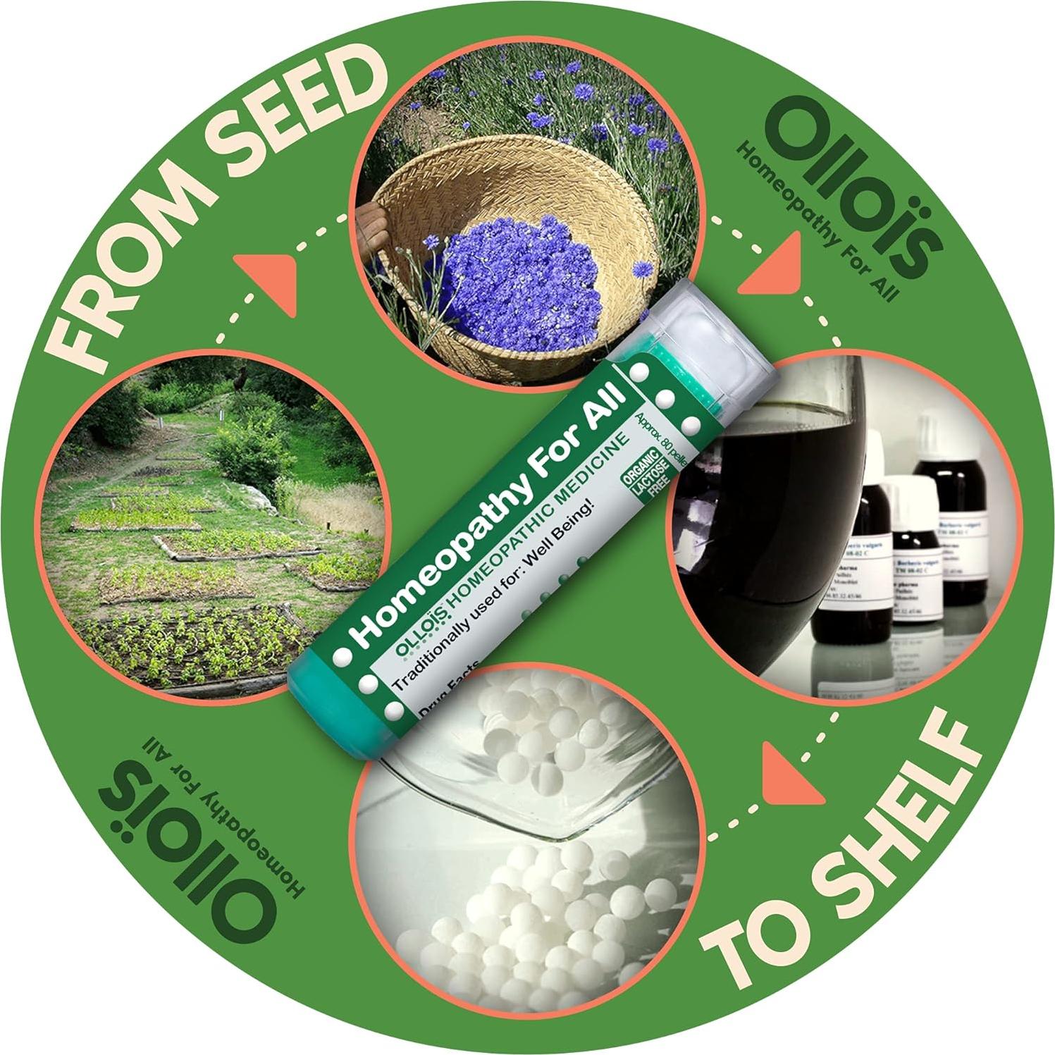 OLLOIS Arnica Montana 12C Orgánico 80 Gránulos Homeopáticos